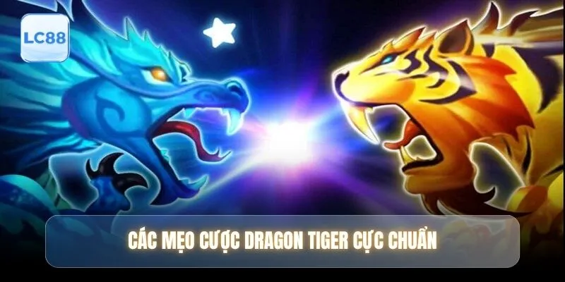 Các mẹo cược Dragon Tiger cực chuẩn