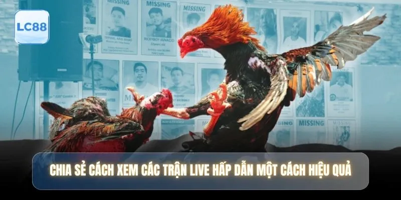 Chia sẻ cách xem các trận live hấp dẫn một cách hiệu quả