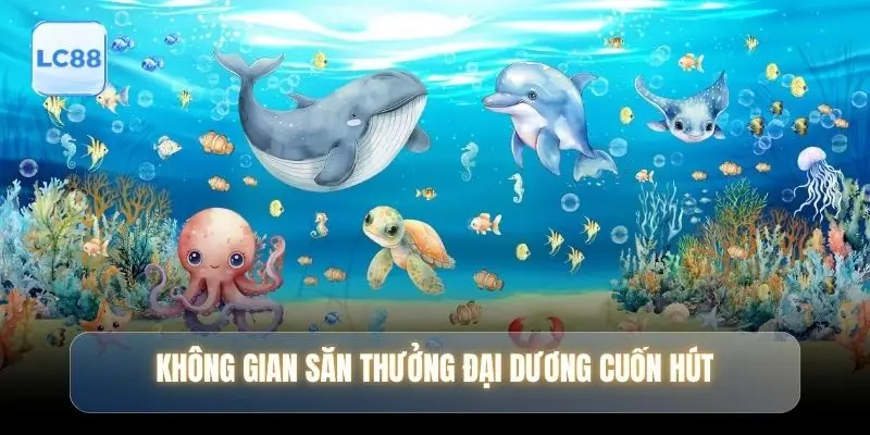 Không gian săn thưởng đại dương cuốn hút