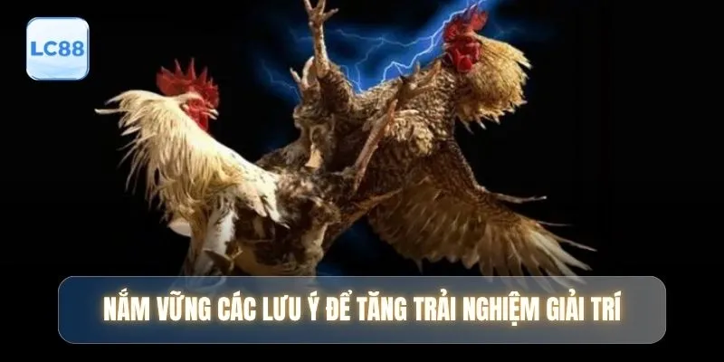 Nắm vững các lưu ý để tăng trải nghiệm giải trí